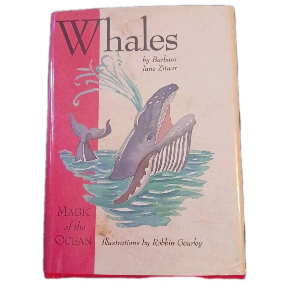 Whales Magic Of The Ocean Hardcover Book